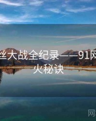 焦点粉丝大战全纪录——91网页版爆火秘诀