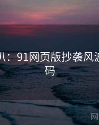 独家深扒：91网页版抄袭风波流量密码