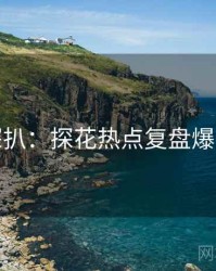 独家深扒：探花热点复盘爆火秘诀