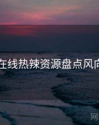 欧美在线热辣资源盘点风向研判