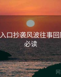 P站官网入口抄袭风波往事回顾，避坑必读