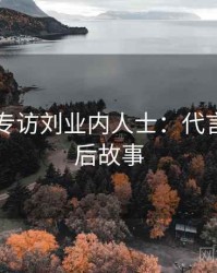 91官网专访刘业内人士：代言翻车幕后故事