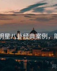 91在线明星八卦经典案例，助你决策