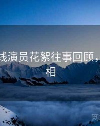 欧美在线演员花絮往事回顾，揭秘真相