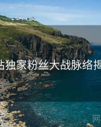 P站独家粉丝大战脉络揭秘