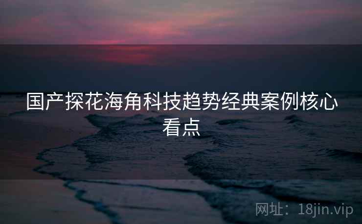 国产探花海角科技趋势经典案例核心看点 国产探花海角科技趋势经典案例核心看点
