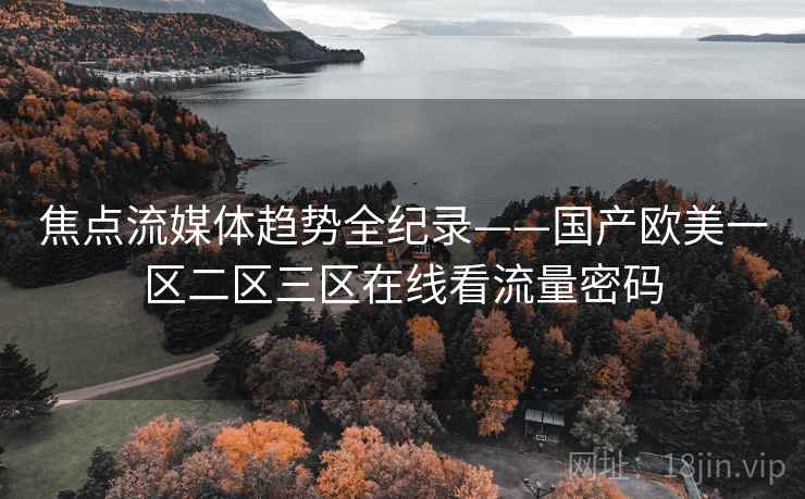 焦点流媒体趋势全纪录——国产欧美一区二区三区在线看流量密码 焦点流媒体趋势全纪录——国产欧美一区二区三区在线看流量密码